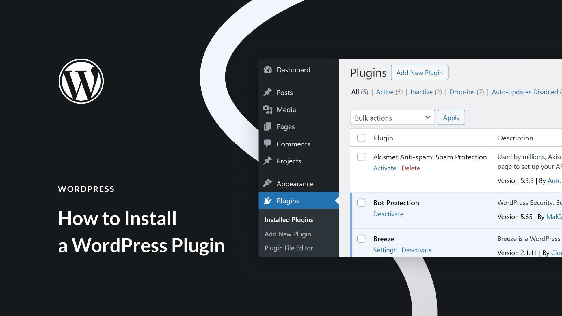 Leveraging WordPress Plugins for Enhanced Image Downloading