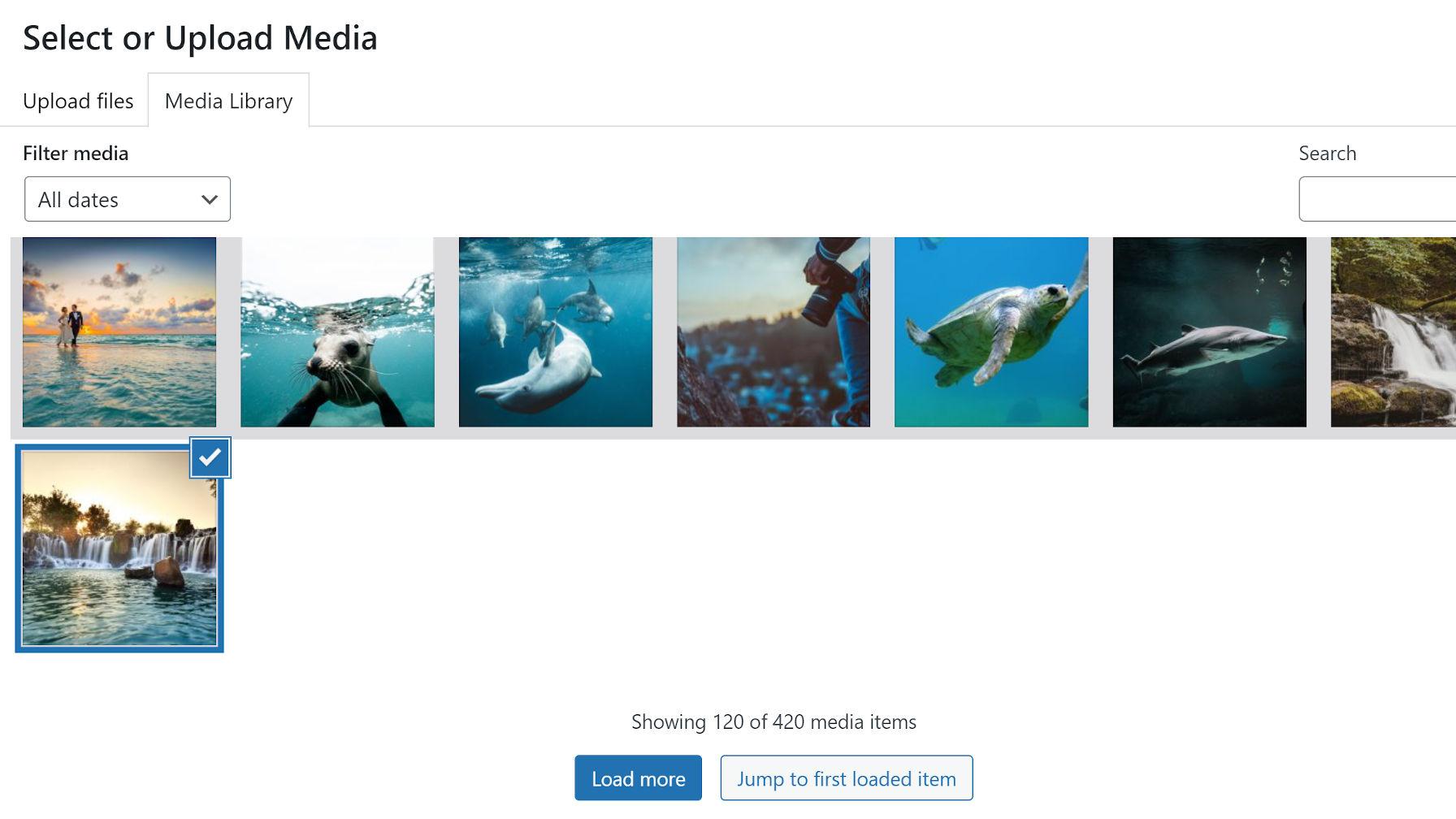 Understanding the WordPress Media Library for Better Image Management