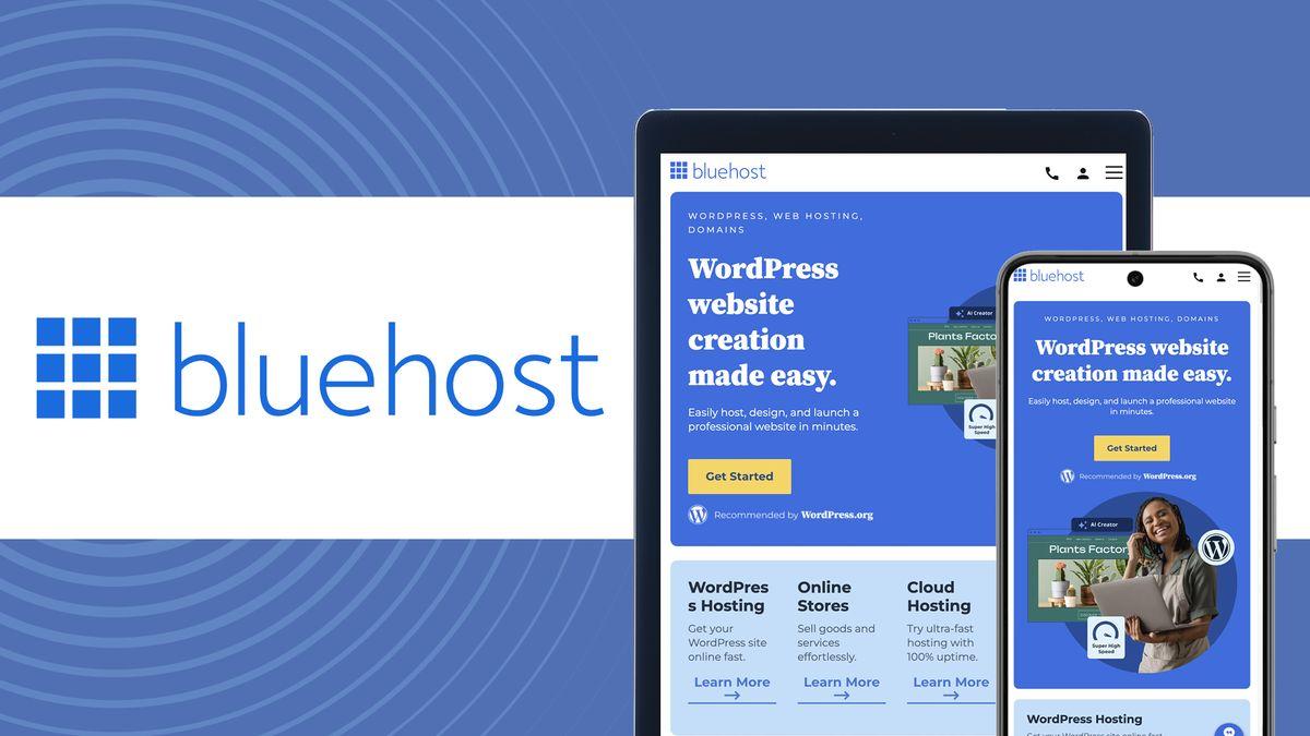 Why ‌Bluehost Stands Out in the Crowded⁣ Hosting Market