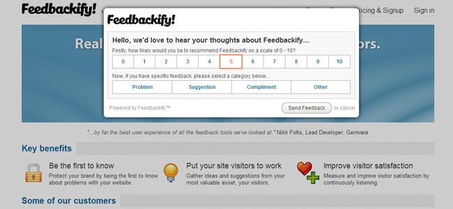 Real User‌ Feedback: What Are Customers Saying?