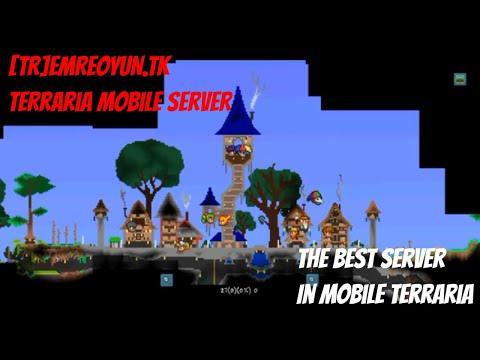 Troubleshooting Common Issues When Hosting Your Terraria Server