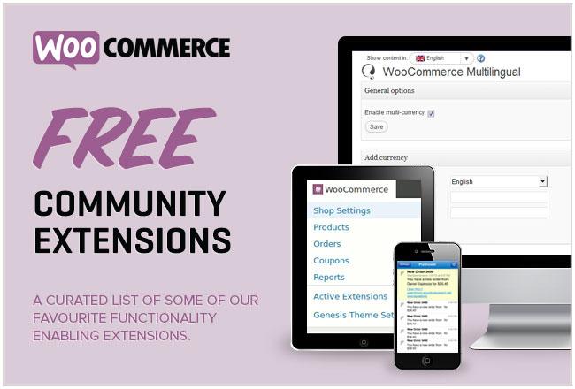 The True Cost of WooCommerce Plugins and Extensions