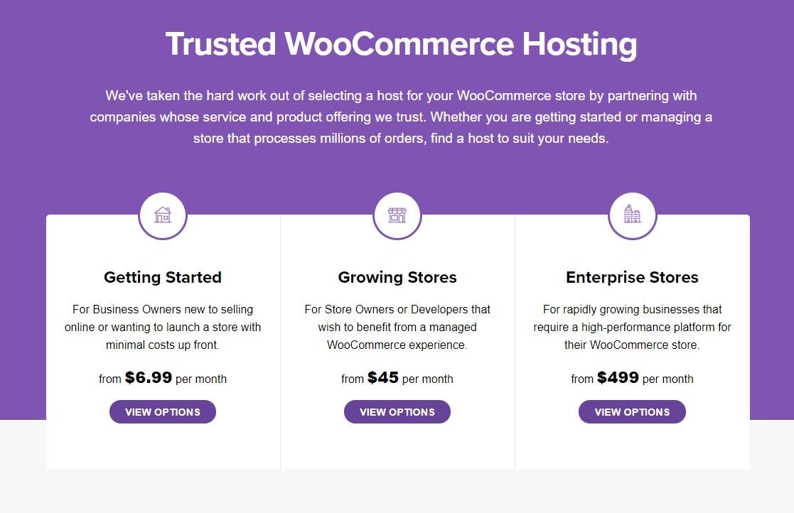 Understanding the Basics of WooCommerce Pricing