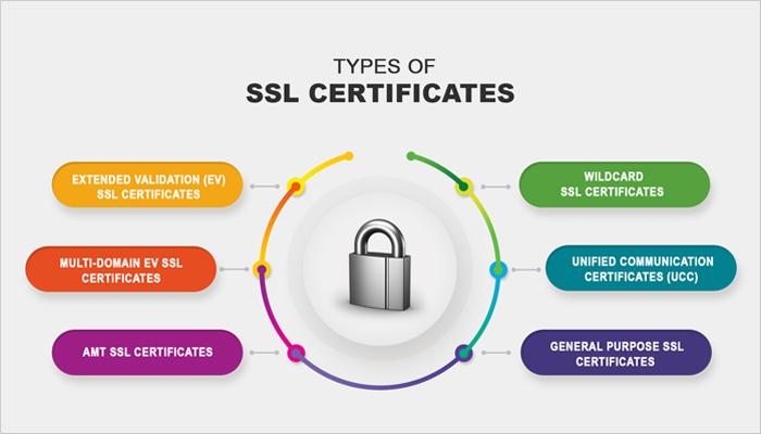 Testing Your SSL Certificate​ After Renewal