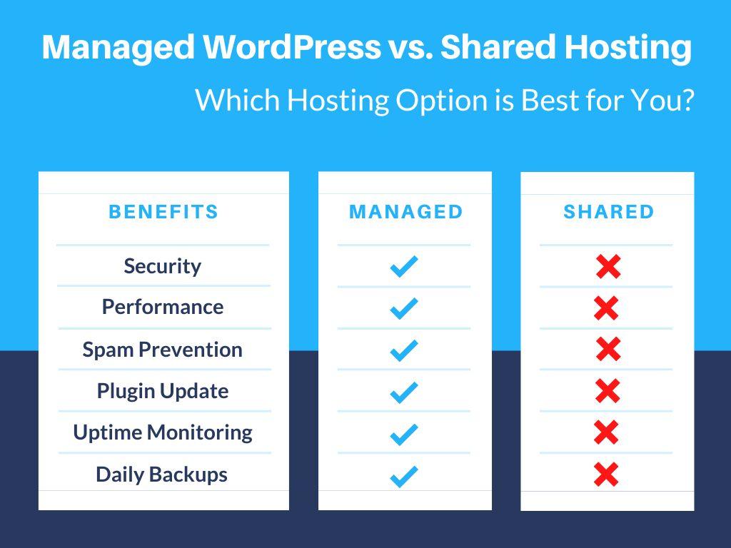 Top Providers to Consider for Managed WordPress Hosting