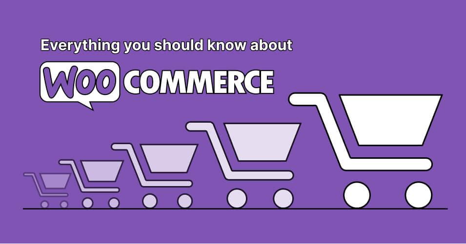 9 WooCommerce Inventory Management Plugins for Your Online Store