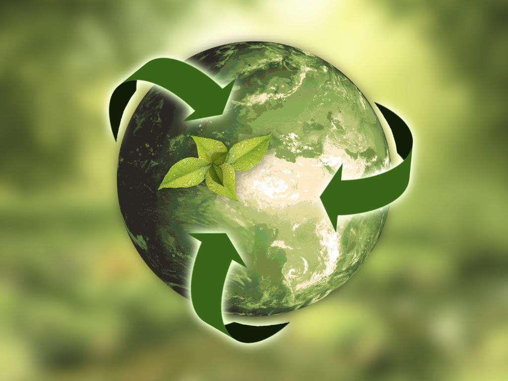 The Rise of Sustainability: How Eco-Friendly Practices Can Boost Your Brand