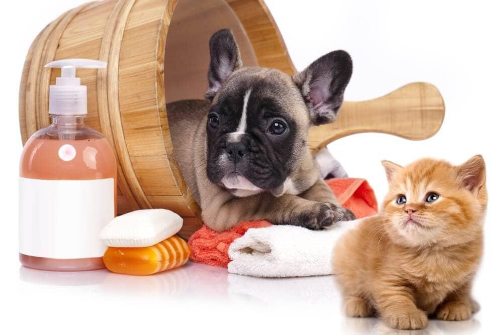 Navigating Shipping and Fulfillment ‌Options for Pet Products