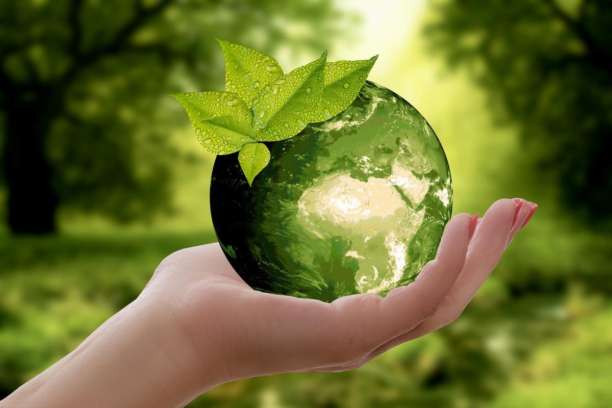 Sustainable Living: Tapping Into the Eco-Friendly Consumer Market